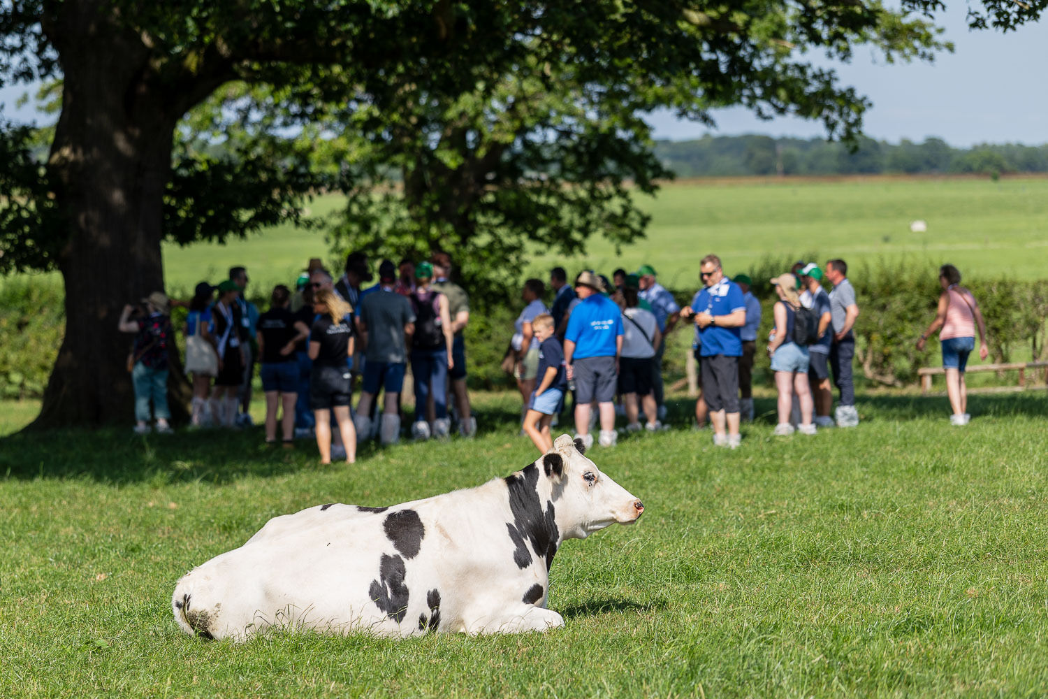 © EDF Congress 2026, Photos by Thomas Ix