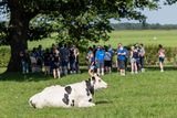 © EDF Congress 2026, Photos by Thomas Ix