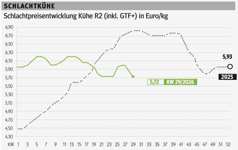 Schlachtkuhgrafik KW 29.png © Grafik RZV