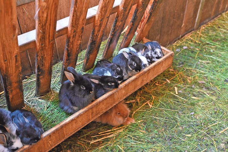 Wo Gastfreundschaft und Landwirtschaft  zusammenfinden.jpg © Archiv