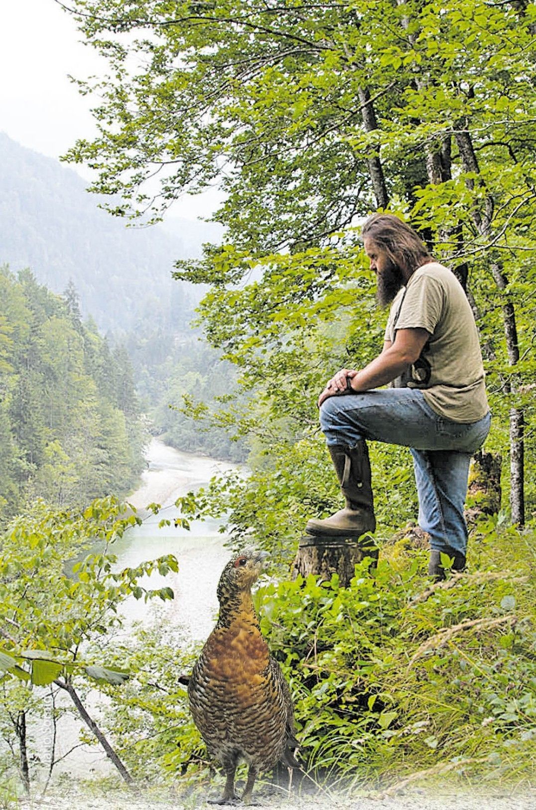 Göschl_Denker_Auerhahn.jpg © Göschl