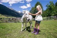 Ein Mädchen streichelt ein Pony © Jan Heftfleisch