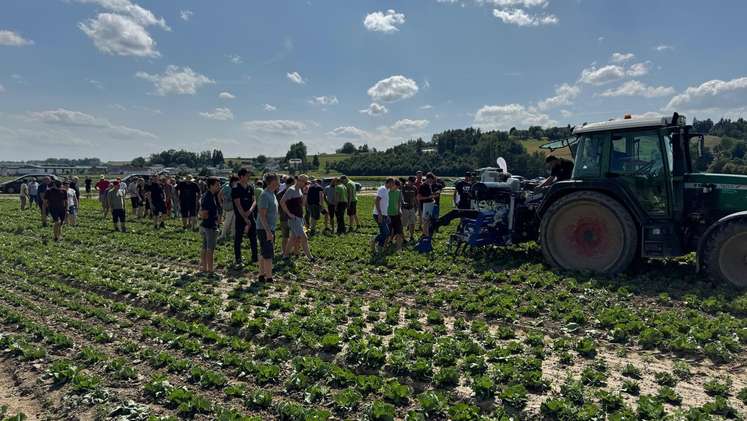 Feldnachmittag zur mechanischen Unkrautregulierung in Eferding, 20. Juli 2026