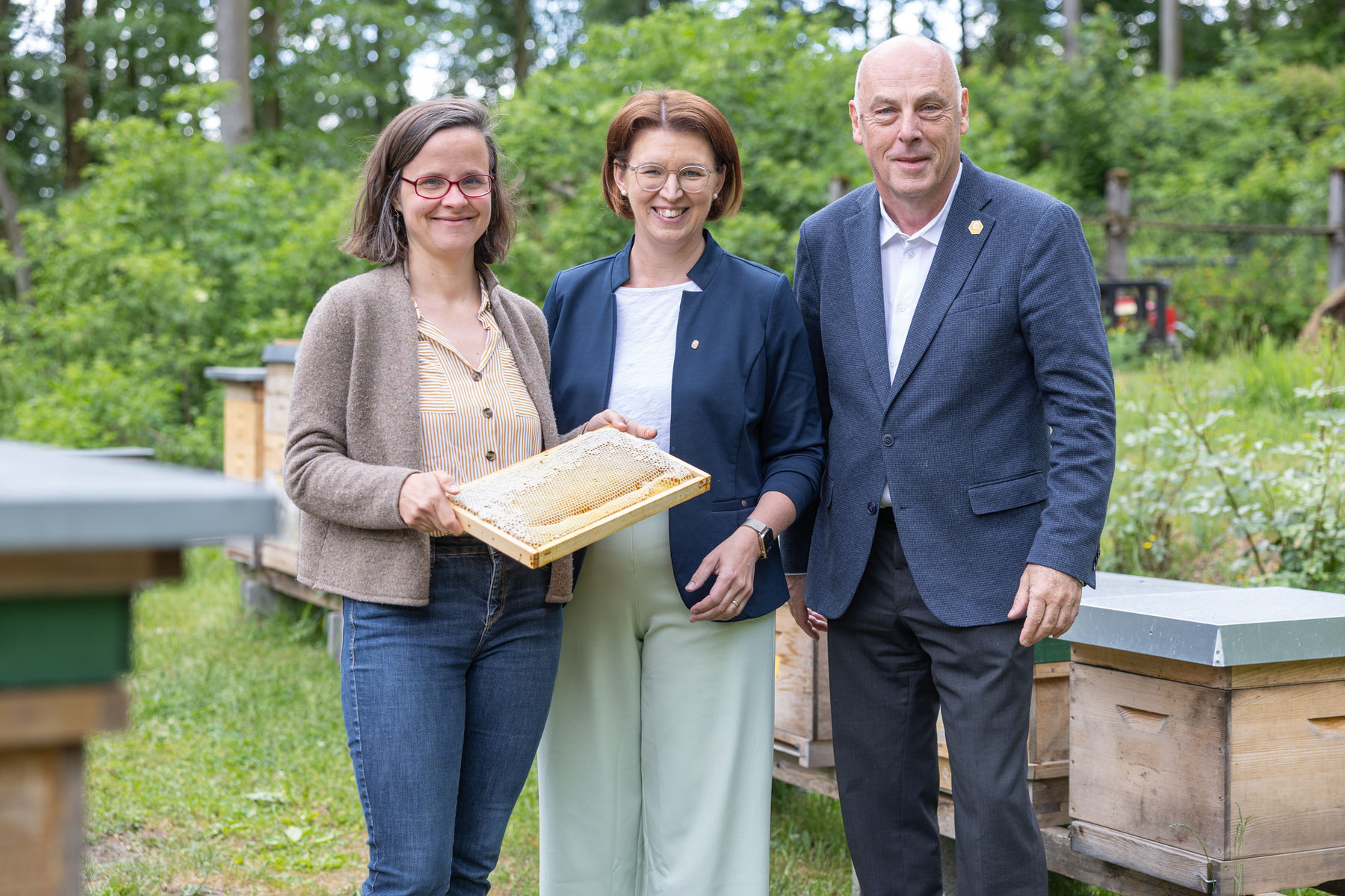 Honigernte2026_LandOÖ_Guggenberger (2).jpg © Land OÖ/Guggenberger