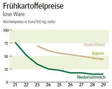 NÖ: Ausblick auf den Frühkartoffelmarkt im August 2026 © LK NÖ