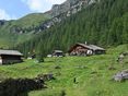 Litzlhof Alm © Mooslechner