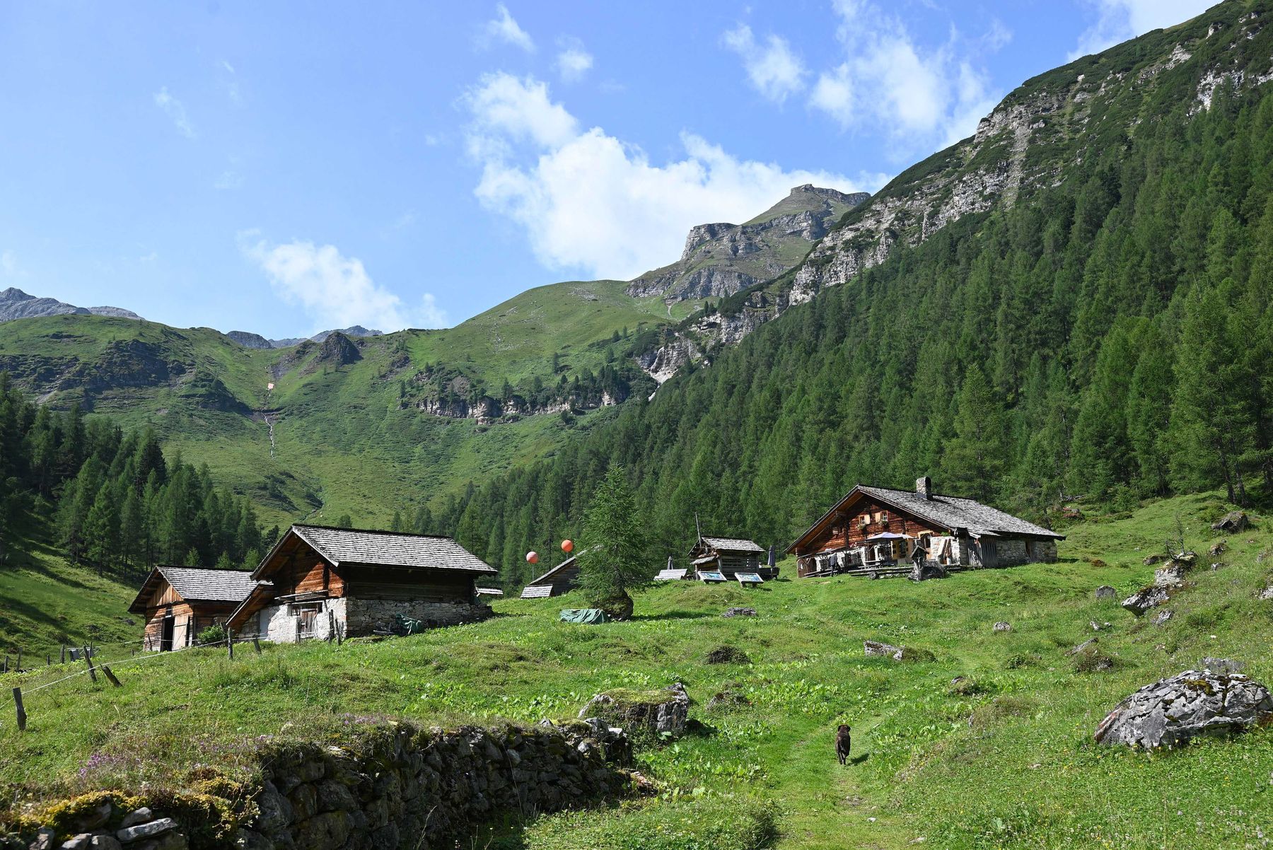 Litzlhof Alm.jpg © Mooslechner