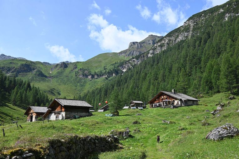 Litzlhof Alm.jpg © Mooslechner