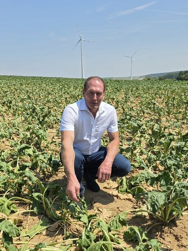 LK-Präsident Josef Moosbrugger auf einem dürregeschädigten Zuckerrübenfeld im Burgenland bzw. nur dieses Feld. © Jung-Leithner/LKÖ