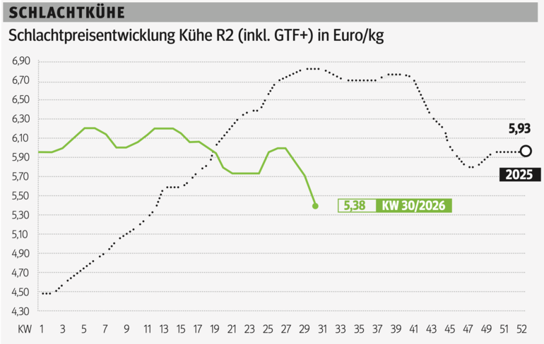 Schlachtkuhgrafik KW 30.png © Grafik RZV
