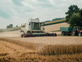 Weizenernte_Feitzlmayr Vinzenz_klein © Landwirtschaftskammer OÖ