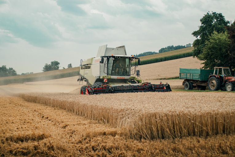 Weizenernte_Feitzlmayr Vinzenz_klein.jpg © Landwirtschaftskammer OÖ