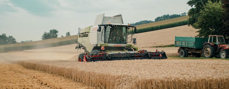 Weizenernte_Feitzlmayr Vinzenz_klein © Landwirtschaftskammer OÖ