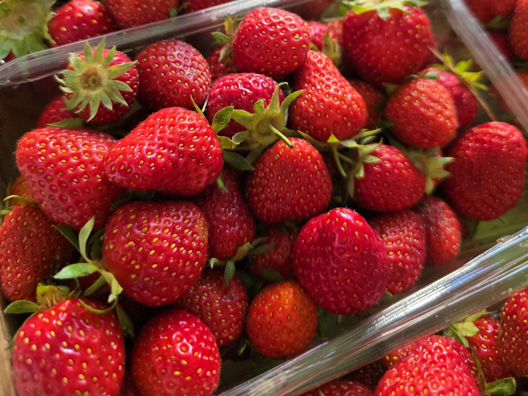 Erdbeeren.jpg © Jung-Leithner/LKÖ