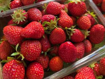 Erdbeeren.jpg © Jung-Leithner/LKÖ