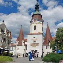 Exkursion der Bäuerinnen im Gebiet Weitra ins Straußenland ©&nbsp;Die Bäuerinnen im Gebiet Weitra