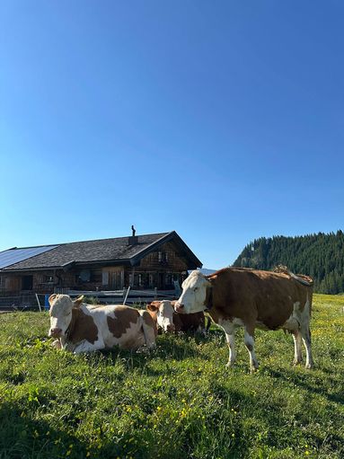 Loferer Alm4.jpg © Mooslechner