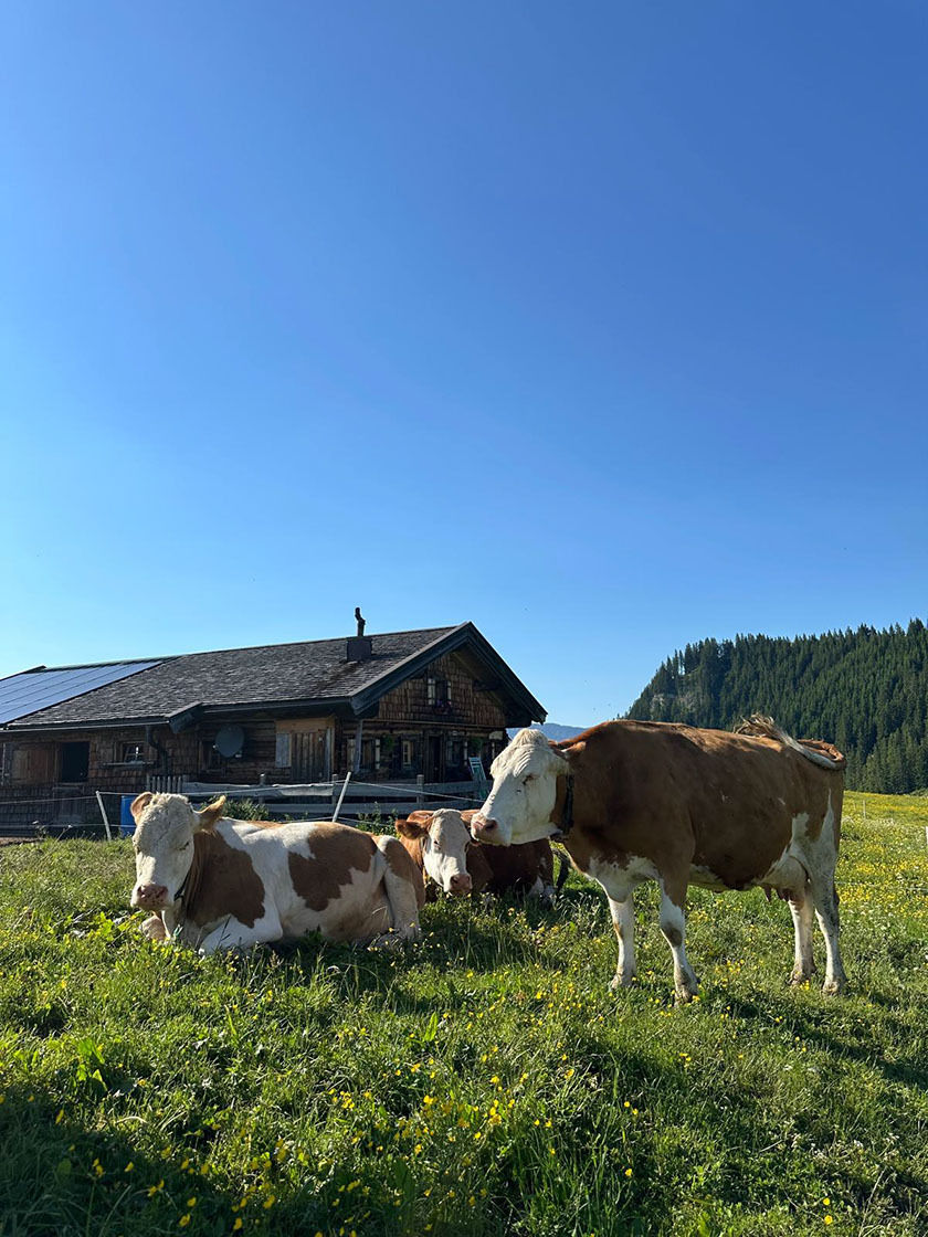 Loferer Alm4.jpg © Mooslechner
