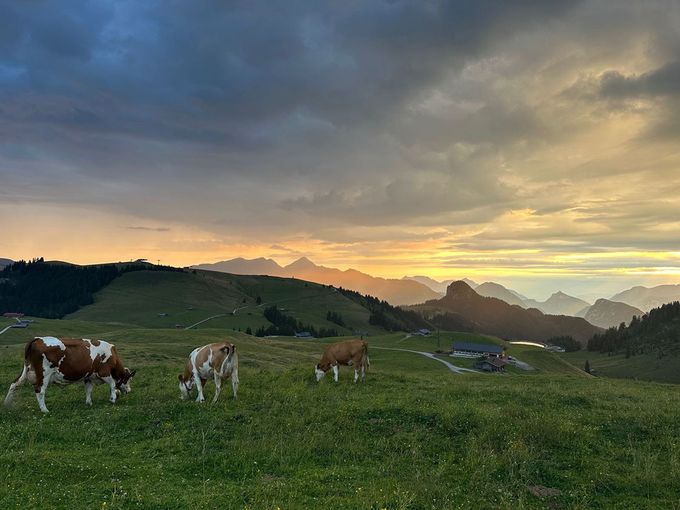 Loferer Alm5.jpg © Mooslechner