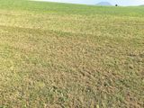 Trockenheit.jpg © Dür