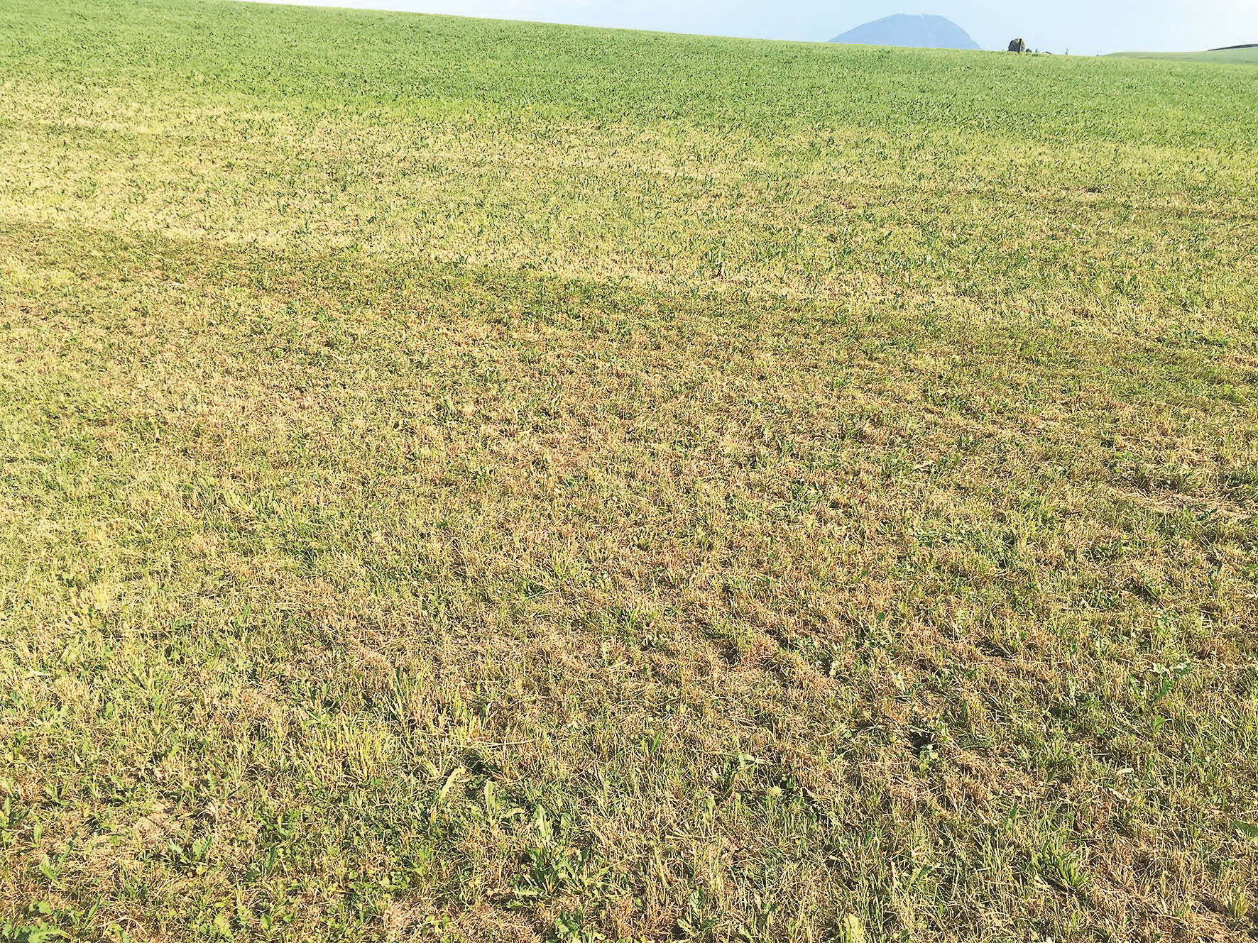 Trockenheit.jpg © Dür