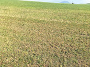 Trockenheit.jpg © Dür