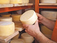 Käse Untersuchung © Adobe Stock