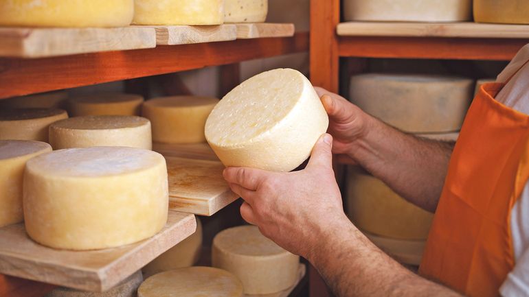 Käse Untersuchung.jpg © Adobe Stock