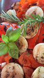 sb29_mt_tomate.jpg © Leitinger