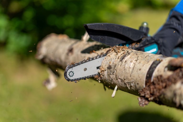 Akkumotorsäge@AdobeStock_1550253568.jpg © stock.adobe.com