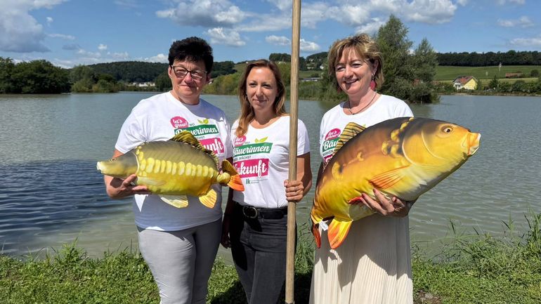 © BK Südoststeiermark