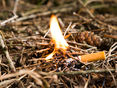 Waldbrandgefahr © AdobeStock