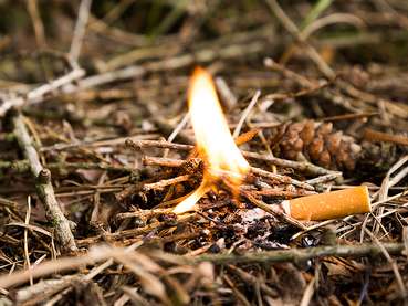 Waldbrandgefahr.jpg © AdobeStock