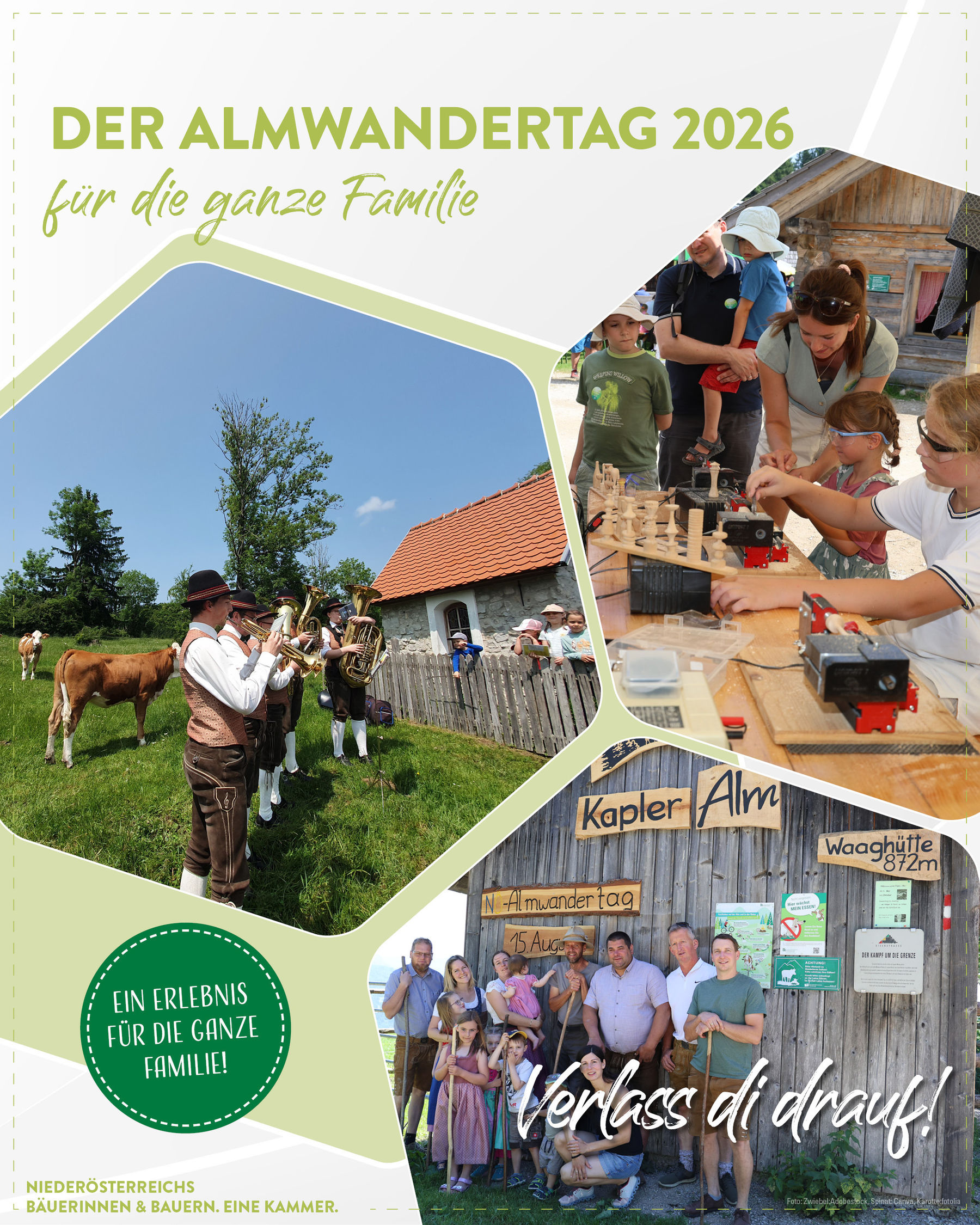 Posting 1 Almwandertag 2026 (3).jpg © LK Niederösterreich