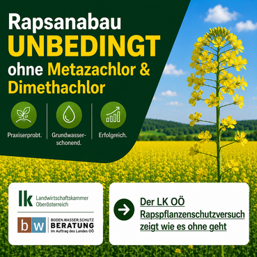 Raps PS ohne Metaza und Dimetha.png © BWSB