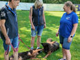 Hundeschule © LK Tirol