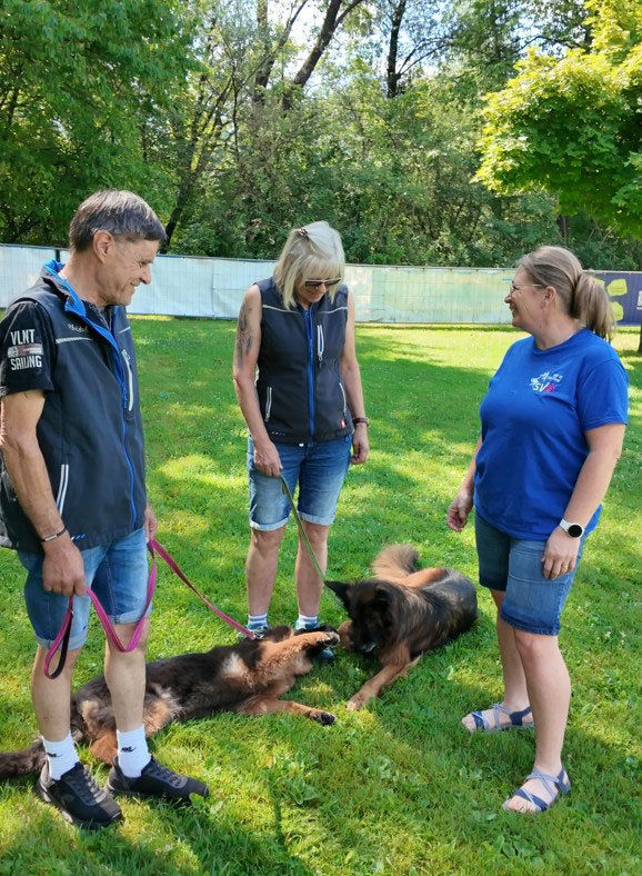 Hundetrainer mit den Hunden in einer Hundeschule © LK Tirol