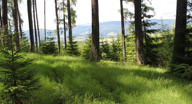 IMG_2600.jpg © LK Kärnten/Egger
