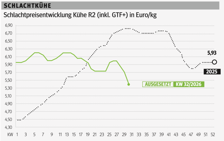 Schlachtkuhgrafik KW 32.png © Grafik RZV