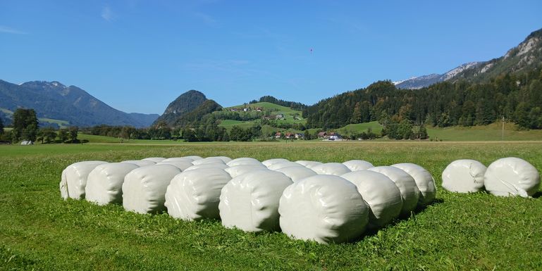 Lagerung Siloballen im Grünland © Joachim Mandl