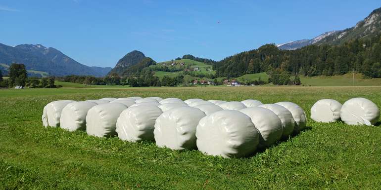 Lagerung Siloballen im Grünland © Joachim Mandl