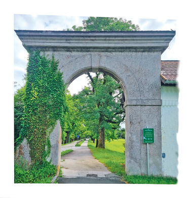 Wo vor 440 Jahren die Salzburger Pferdezucht begann.jpg © Schöchl