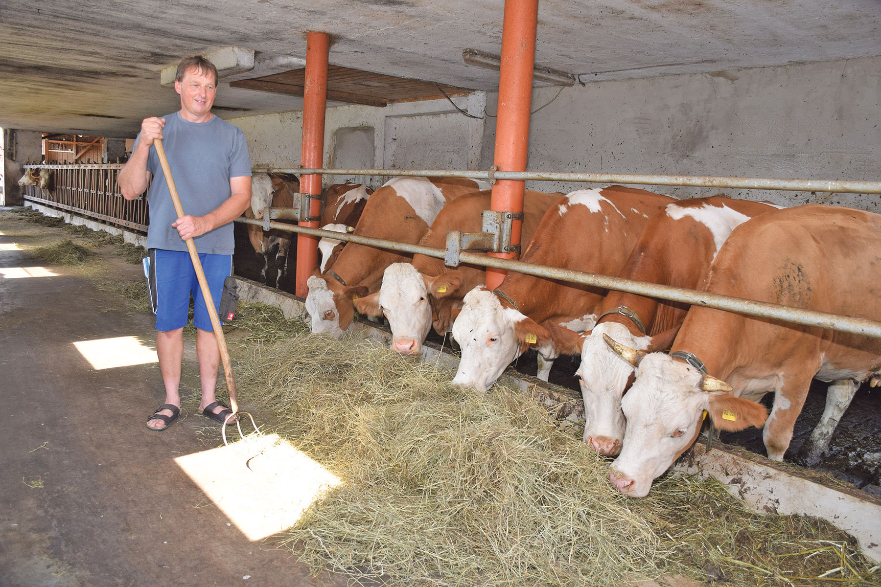 Ernteeinbußen für das heurige Jahr befürchtet.jpg © Standl