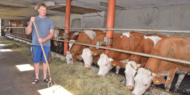 Ernteeinbußen für das heurige Jahr befürchtet © Standl