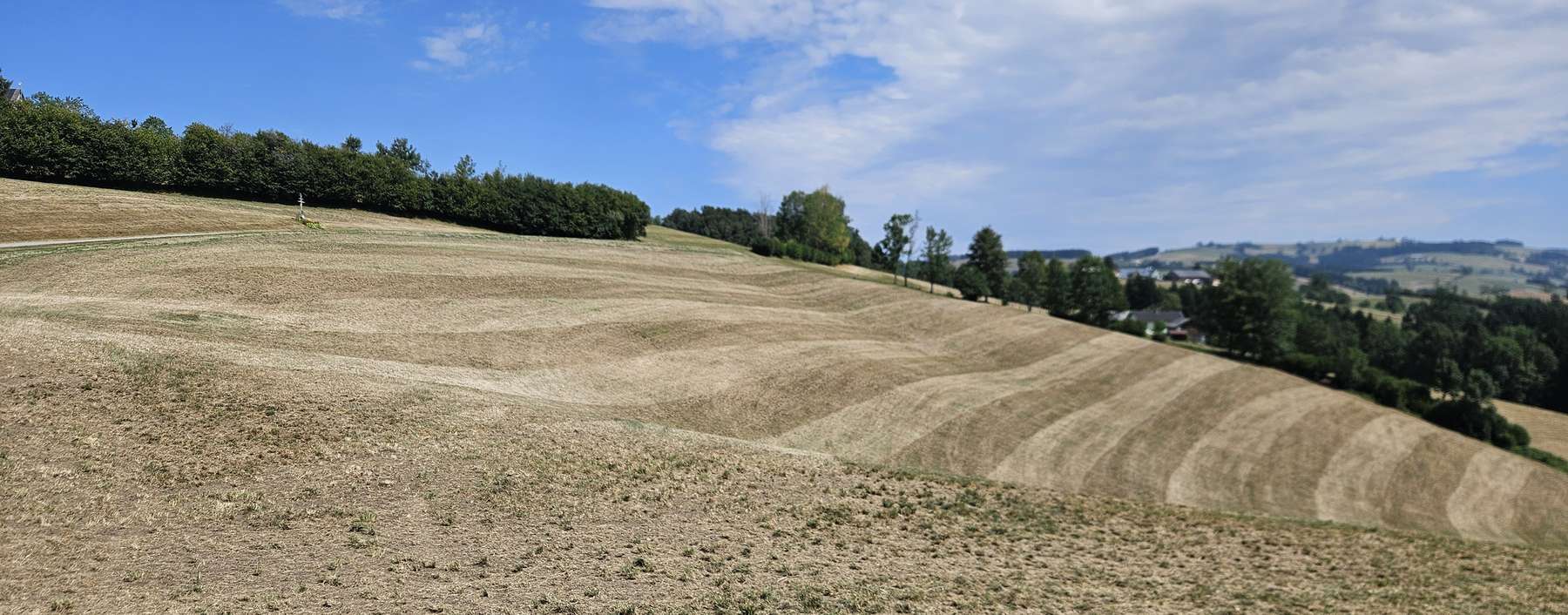 Dürre Grünland.jpg © Marco Horn/LK Niederösterreich