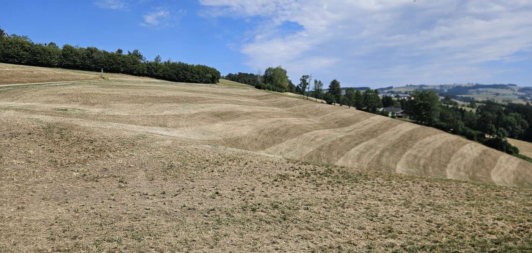 Dürre Grünland.jpg © Marco Horn/LK Niederösterreich