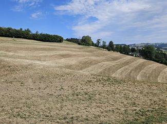 Dürre Grünland © Marco Horn/LK Niederösterreich