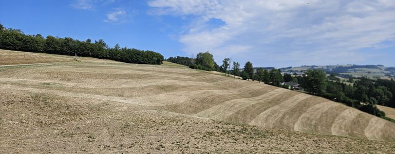 Dürre Grünland © Marco Horn/LK Niederösterreich