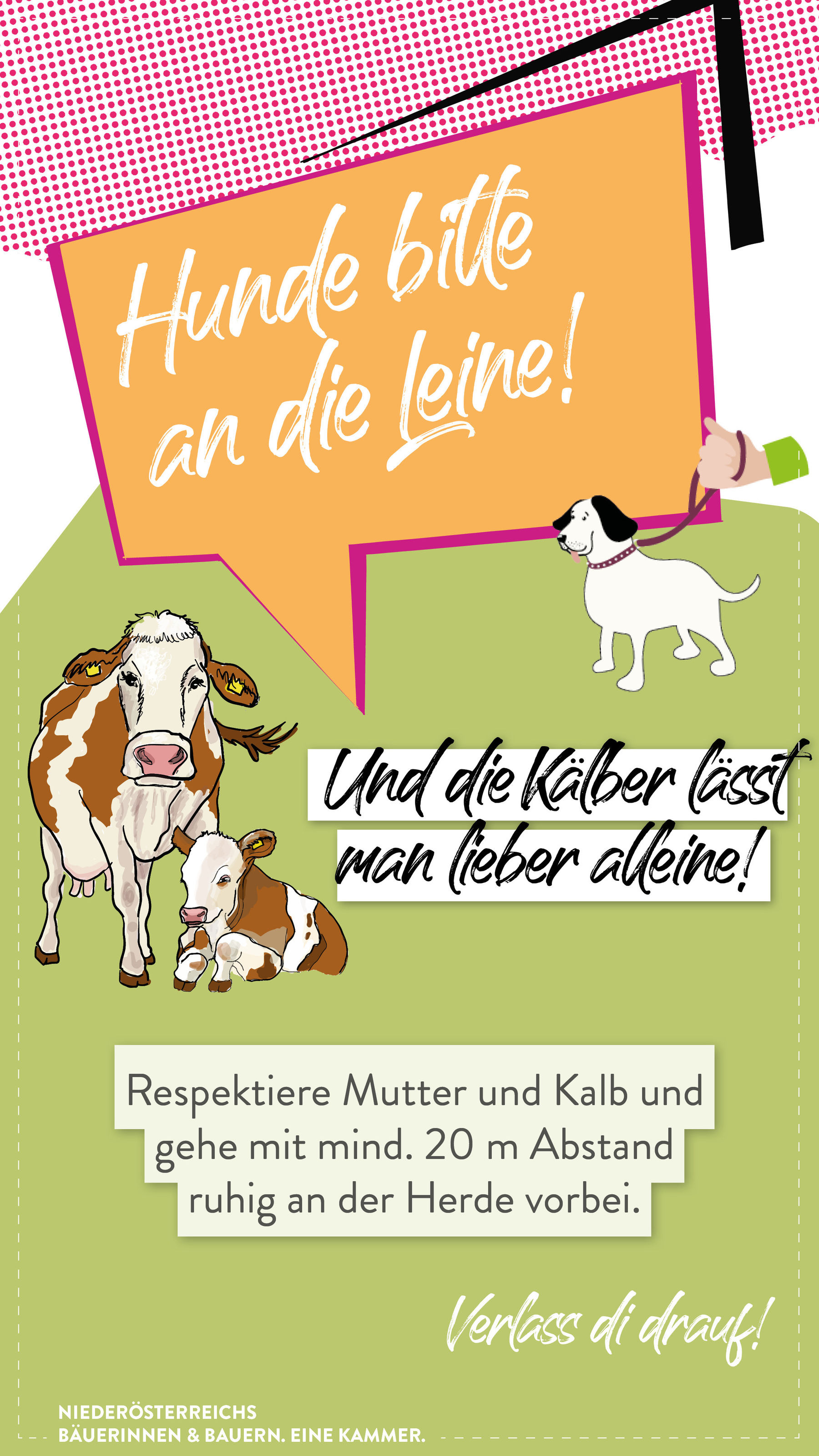 Story Alm 20263.jpg © LK Niederösterreich