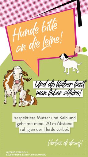 Story Alm 20263.jpg © LK Niederösterreich